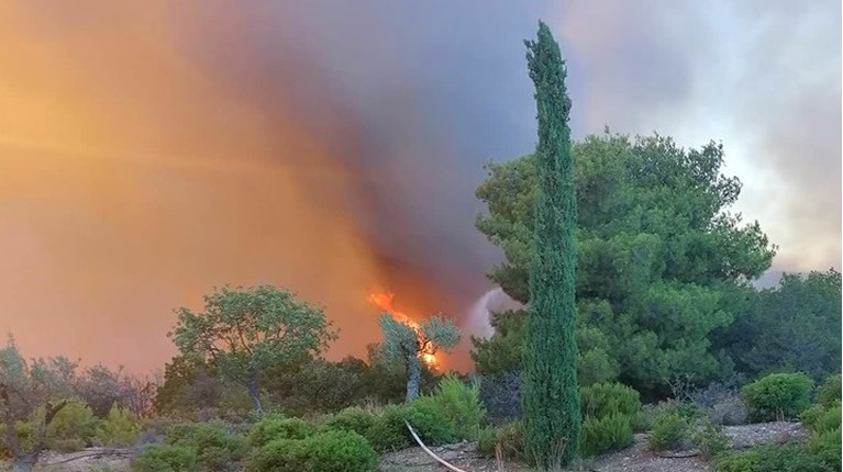 Φωτιά στο Κρανίδι
