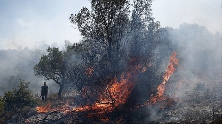 ΝΕΑ ΠΕΡΑΜΟΣ ΠΥΡΚΑΓΙΑ