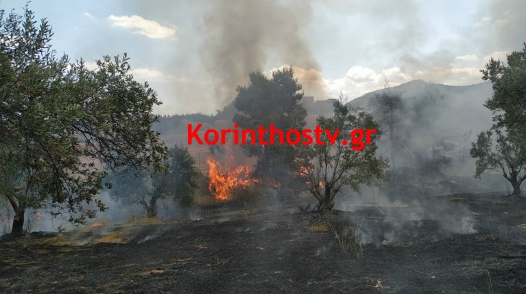 Κόρινθος_Κεχριές φωτιά