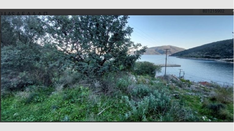 πλειστηριασμοι