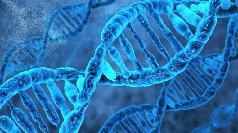 DNA