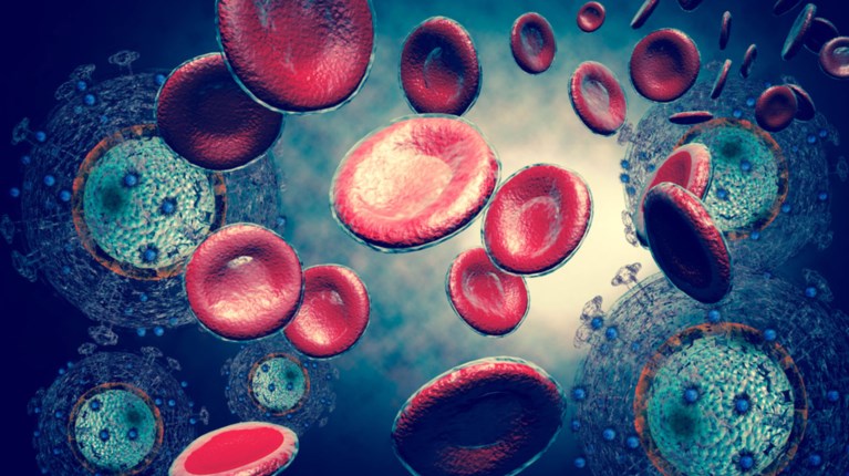 Ελπίδες για το AIDS από ένα κορίτσι που ζει στη Νότια Αφρική