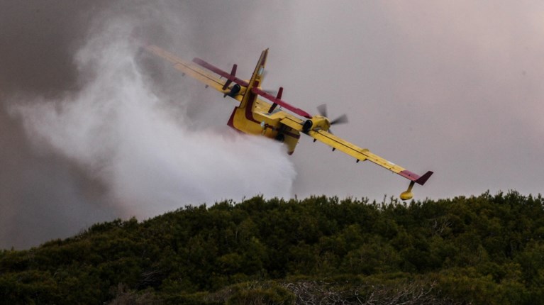 Συνελήφθη 41χρονος για πέντε πυρκαγιές σε Μεσσηνία - Αρκαδία