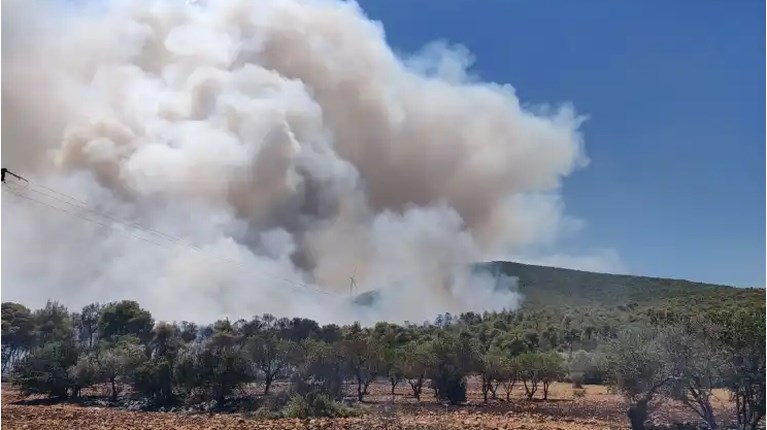 Φωτιά στο Σοφικό Κορινθίας