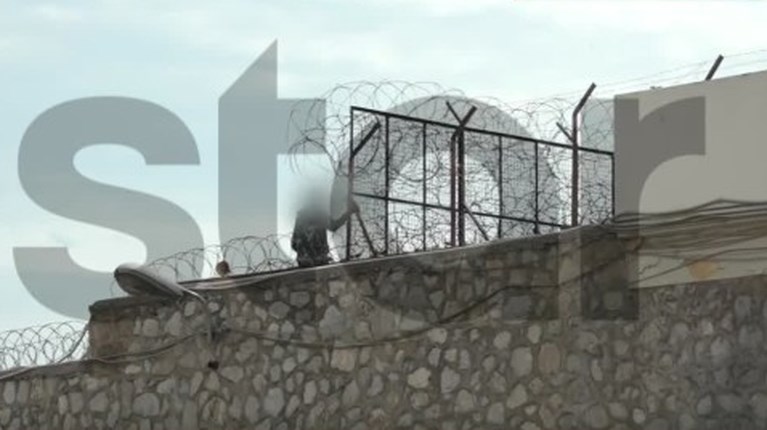 Κορυδαλλός απόδραση