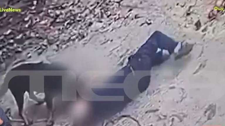 Μεσσηνία: Βίντεο ντοκουμέντο από την επίθεση του σκύλου στον ιδιοκτήτη του - Ο 76χρονος ζήτησε από τον αστυνομικό να πυροβολήσει το ζώο