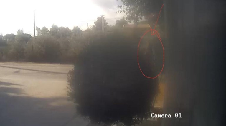 ΡΑΦΗΝΑ 38ΧΡΟΝΟΣ