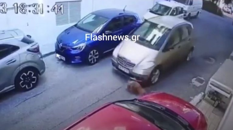 σκύλος τον πάτησε αυτοκίνητο