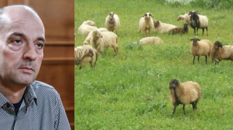 ΟΠΕΚΕΠΕ: Έλεγχος στον Μαγειρία το 2019 δεν βρήκε ζώα - Είχε γίνει αστυνομική έφοδος και για αρχαιοκαπηλία το 2015