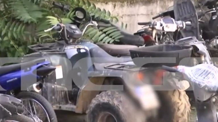 γουρουνα αχαια