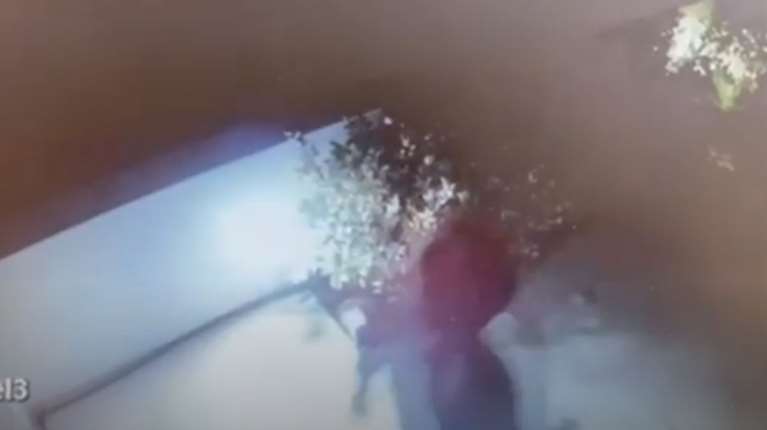 Εξαρθρώθηκε συμμορία που διέπραττε ληστείες σε Μέγαρα, Κορινθία και Αιγιαλεία - Βίντεο ντοκουμέντα από τη δράση τους