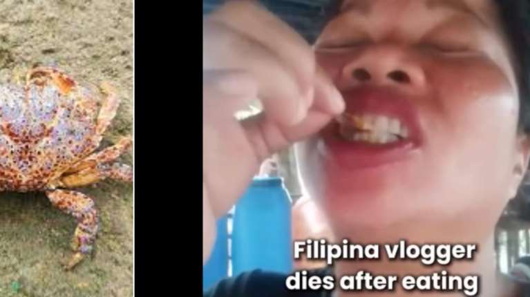 Βάναυσος θάνατος: Food vlogger από τις Φιλιππίνες έφαγε το "καβούρι του διαβόλου" για ένα βίντεο, έπαθε σπασμούς και πέθανε