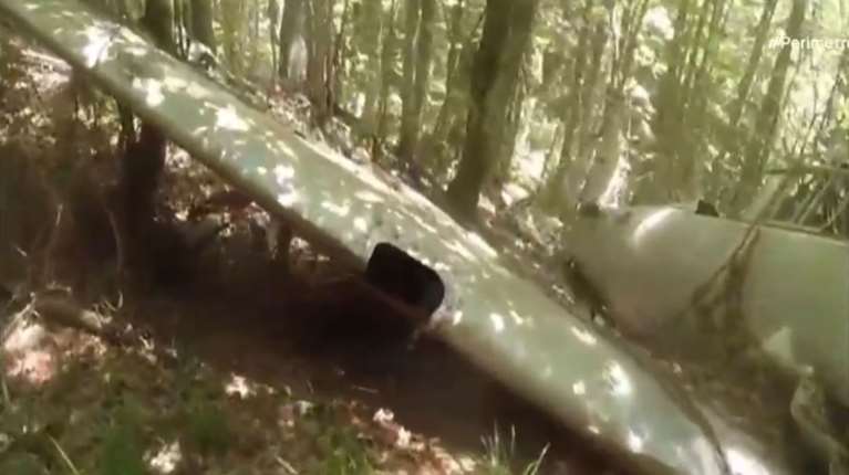 Δράμα: Η ιστορία του μυστηριώδους αεροσκάφους από τον Εμφύλιο που πήγαν να δουν οι δύο ορειβάτες και τους όρμησε η αρκούδα