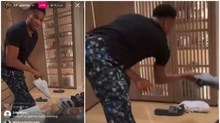 Η κατσαρίδα που νίκησε τον Αντετοκούνμπο: Η μάχη του Greek Freak με όπλα παπούτσια και παντόφλες [βίντεο]