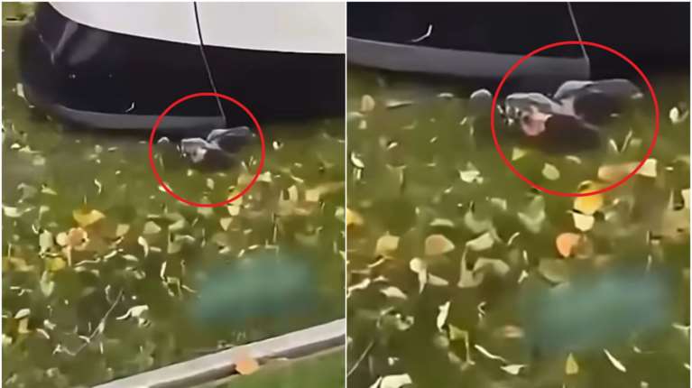 Απίστευτη τύχη για 8χρονο ποδηλάτη: Εγκλωβίστηκε κάτω από τραμ αλλά τον έσωσε το μικρό του ανάστημα [βίντεο]