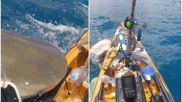 ΚΑΡΧΑΡΙΑΣ ΧΑΒΑΗ ΚΑΓΙΑΚ