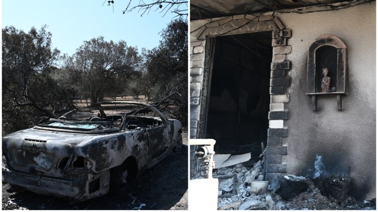 ΦΩΤΙΑ ΣΑΡΩΝΙΔΑ ΛΑΓΟΝΗΣΙ ΑΝΑΒΥΣΣΟΣ