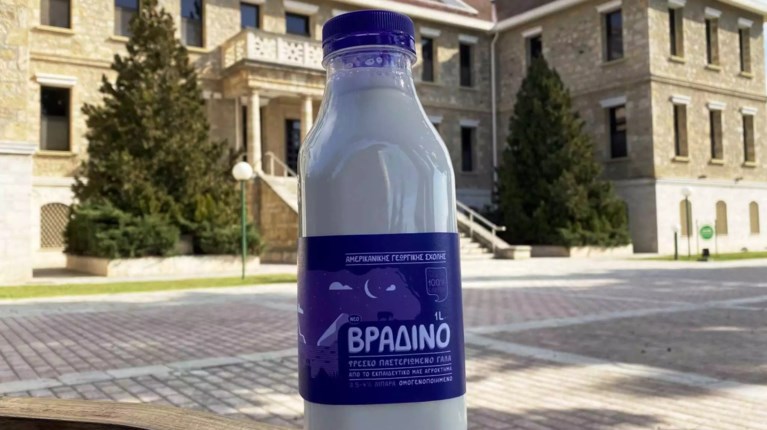 ΒΡΑΔΙΝΟ ΓΑΛΑ