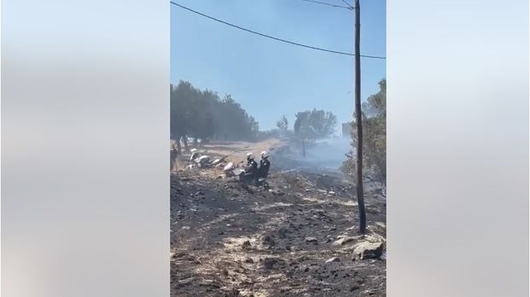 ΑΣΤΥΝΟΜΙΚΟΙ ΔΙΑΣ
