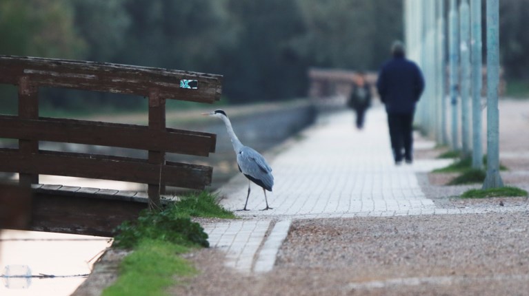 ΠΑΡΚΟ ΤΡΙΤΣΗ
