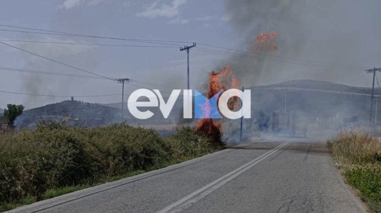 ΦΩΤΙΑ ΑΛΙΒΕΡΙ