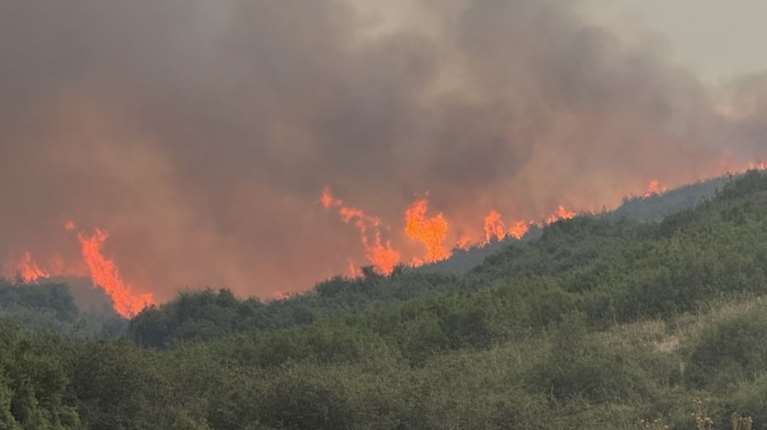 Λαγουβάρδος για πυρκαγιές: 454.000 στρέμματα έχουν καεί στην Ελλάδα από την αρχή του 2025 - 9.000.000 στην Ευρώπη
