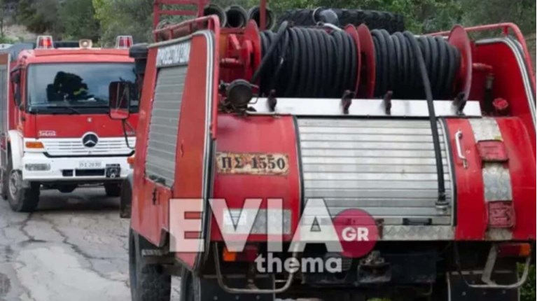Εύβοια πυροσβεστική