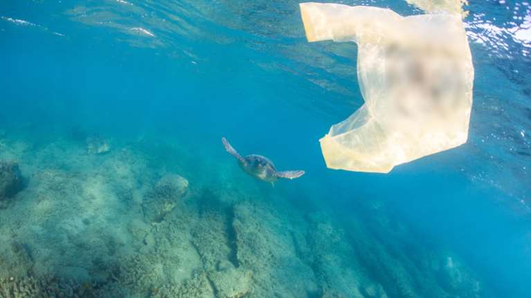 &quot;Καμπάνα&quot; 5,5 εκατ. ευρώ στην Ελλάδα από την ΕΕ για λειτουργία ΧΥΤΑ στο θαλάσσιο εθνικό πάρκο της Ζακύνθου