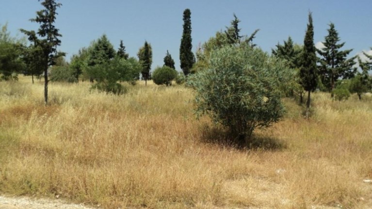 ακαθαριστα οικοπεδα