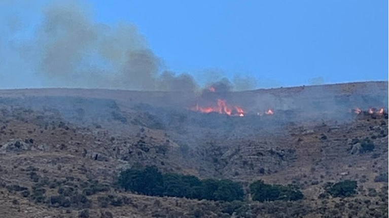 Φωτιά στη Σαγιάδα Θεσπρωτίας