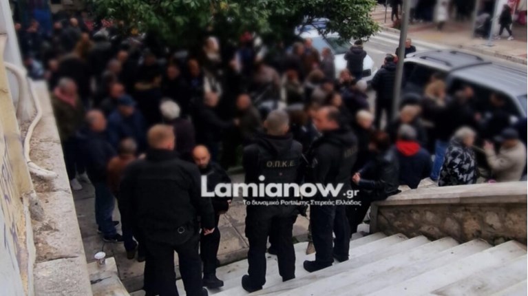 ΑΝΘΗΛΗ ΛΑΜΙΑ