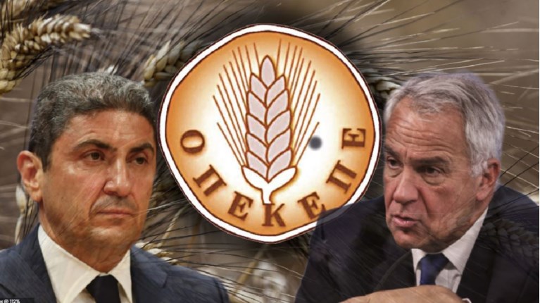 ΟΠΕΚΕΠΕ ΑΥΓΕΝΑΚΗΣ ΒΟΡΙΔΗΣ