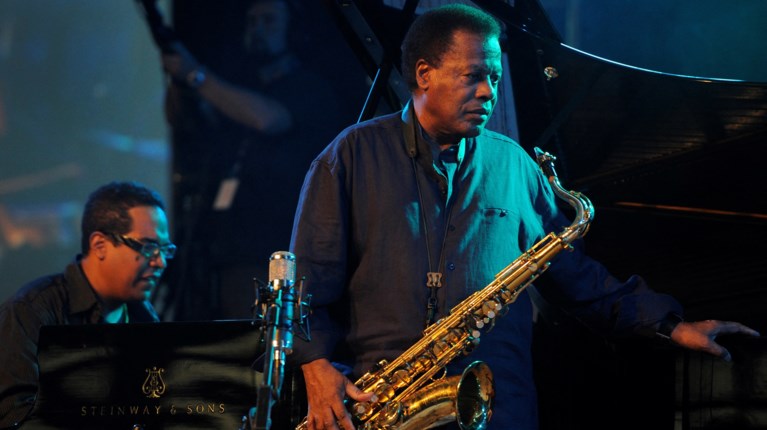 Γουέιν Σόρτερ