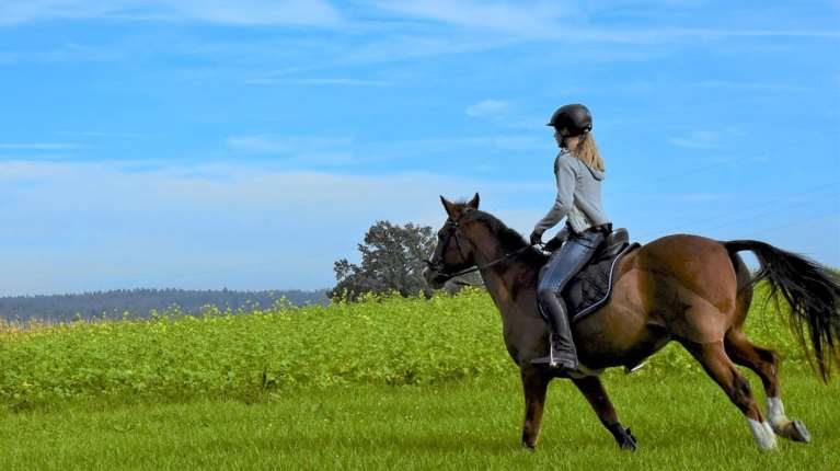 Θεσσαλονίκη: Εκπαιδευτής ιππασίας κατηγορείται για σεξουαλική παρενόχληση επτά μαθητριών του - Ανήλικες οι 4