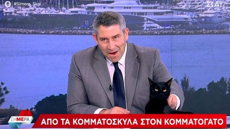 μαυρη γατα Παυλοπουλος