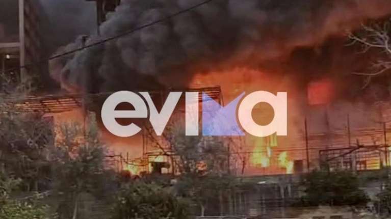 Χαλκίδα: Μεγάλη φωτιά ξέσπασε σε σπίτι - Απεγκλώβισαν τρία άτομα που μεταφέρθηκαν στο νοσοκομείο [βίντεο]