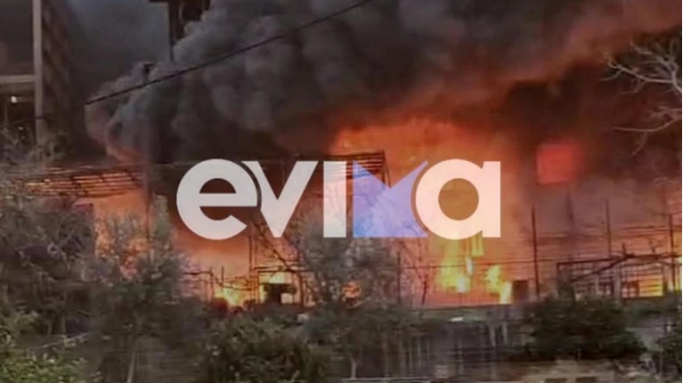 ΦΩΤΙΑ ΣΠΙΤΙ ΧΑΛΚΙΔΑ