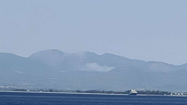 Πυρκαγιά στα Πετράλωνα του δήμου Μεσσήνης – Επιχειρούν εναέρια μέσα - Εστάλη 112