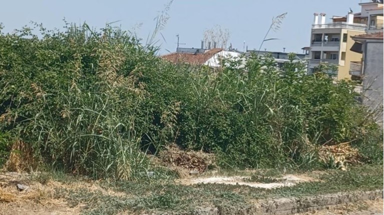 ΑΚΑΘΑΡΙΣΤΑ ΟΙΚΟΠΕΔΑ