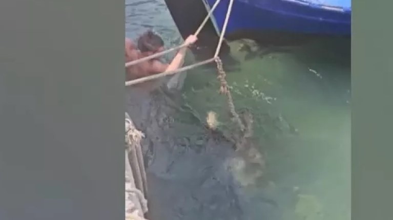 Ανάβυσσος