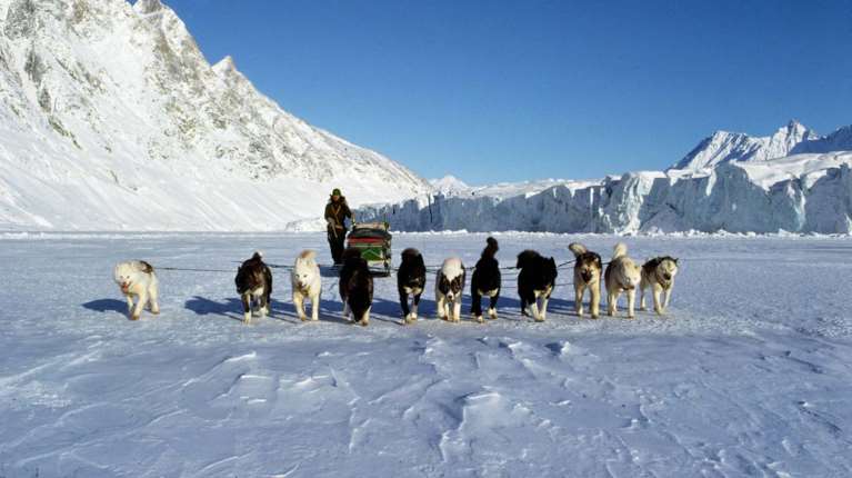 "Δυο έλκηθρα με σκυλιά": Ποια είναι η επίλεκτη μονάδα που περιπολεί στη Γροιλανδία και περιφρονεί ο Τραμπ