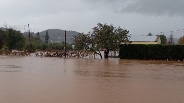 ΠΛΥΜΜΗΡΑ ΦΙΛΙΠΠΙΑΔΑ