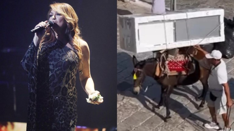 ΚΑΙΤΗ ΓΑΡΜΠΗ