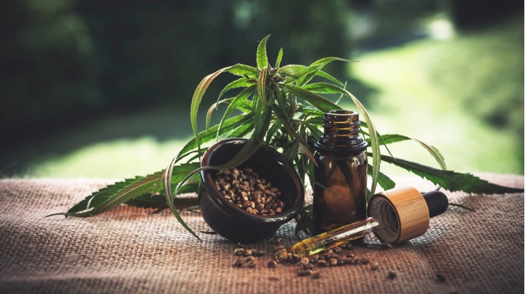 Θεραπευτική Κάνναβη