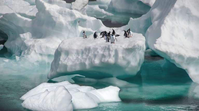Συναγερμός στην Ανταρκτική: Tο μεγαλύτερο παγόβουνο του κόσμου απειλεί νησί με πιγκουίνους και φώκιες