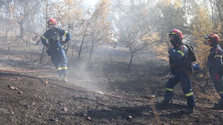 Παλλήνη: Ο δημοτικός υπάλληλος ήταν ο εμπρηστής - Τον εντόπισαν από τις κάμερες να κινείται με ένα λευκό βαν