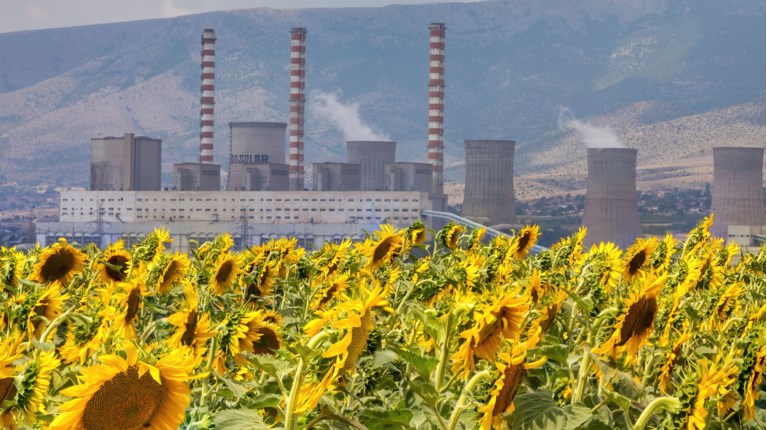 ΟΠΕΚΕΠΕ ΚΑΛΛΙΕΡΓΕΙΕΣ ΚΟΖΑΝΗ