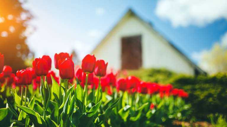 Εαρινή Ισημερία 2025: Μπήκε επισήμως η Ανοιξη