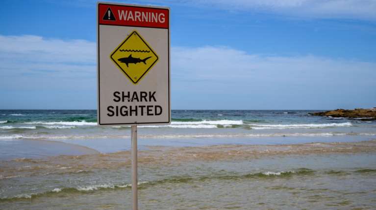 Αυστραλία: Μια νεκρή και ένας σοβαρά τραυματίας μετά από επίθεση καρχαρία
