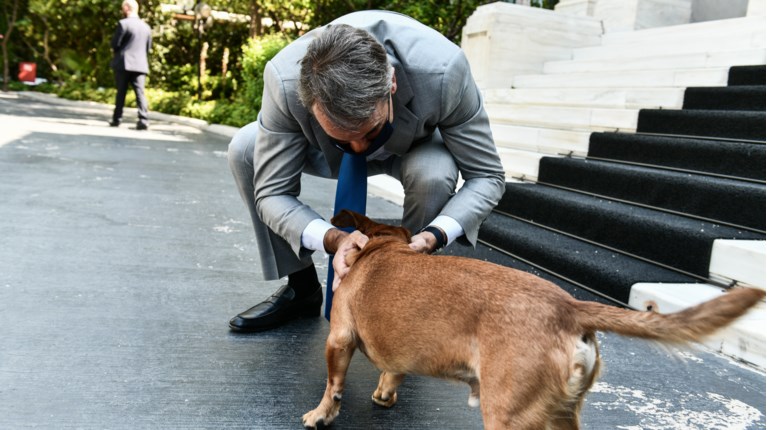 Μητσοτάκης σκυλος
